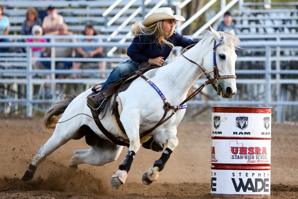 rodeo, horse, barrel-3578528.jpg